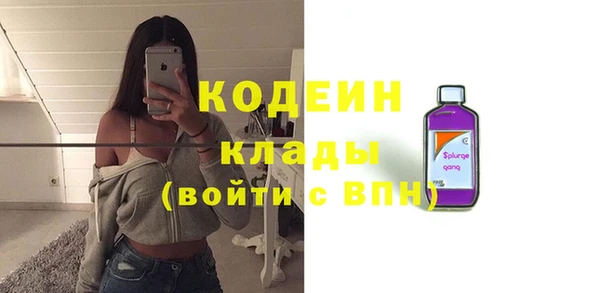 ПСИЛОЦИБИНОВЫЕ ГРИБЫ Осинники