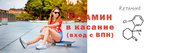 ПСИЛОЦИБИНОВЫЕ ГРИБЫ Осинники