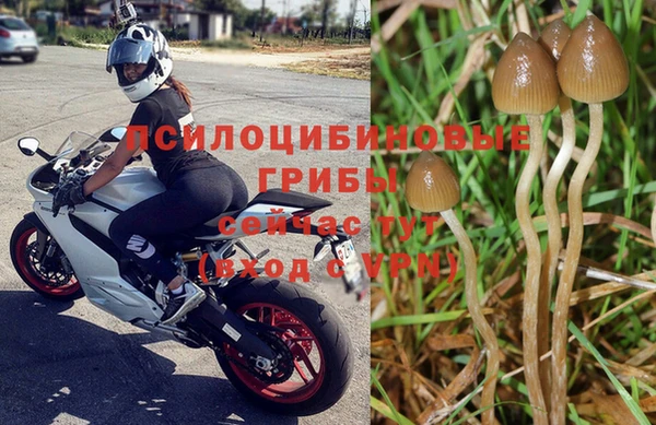 круглые Няндома
