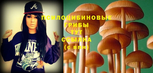 круглые Няндома