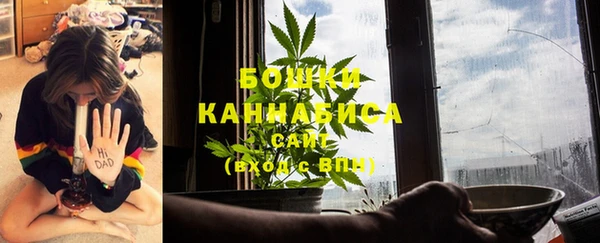 PSILOCYBIN Осташков