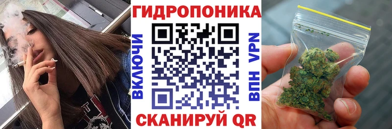 Бошки Шишки план Архангельск